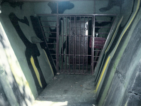 Foto 14